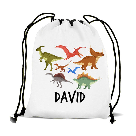 Dinosaur pe bag online